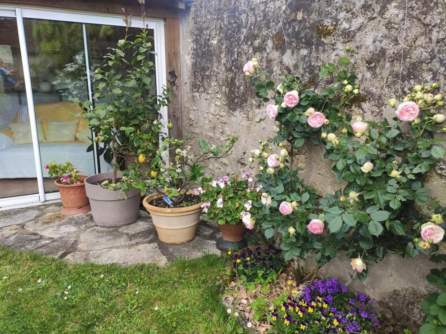 Le Relais De L'Ormeau - Charmant Gite Pour 4 Pers. Lussault-sur-Loire Екстер'єр фото